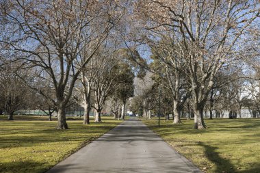 Melbourne Avustralya 'da açık güneşli bir kış gününde Carlton Bahçeleri