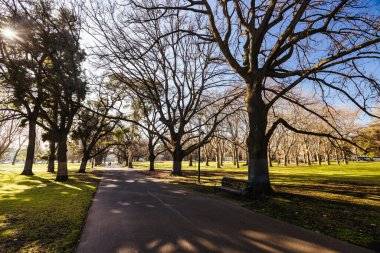 Melbourne Avustralya 'da açık güneşli bir kış gününde Carlton Bahçeleri