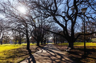 Melbourne Avustralya 'da açık güneşli bir kış gününde Carlton Bahçeleri