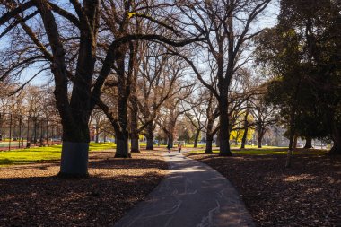 Melbourne Avustralya 'da açık güneşli bir kış gününde Carlton Bahçeleri