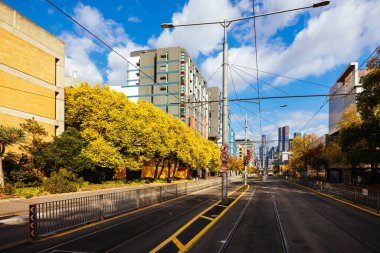 MELBOURNE, AUSTRALIA - MAYIS 05, 2024 - Melbourne, Victoria, Avustralya 'daki Melbourne Üniversitesi Parkville kampüsünde sonbahar boyunca Swanston Caddesi ve Elgin Caddesi' nin köşesi
