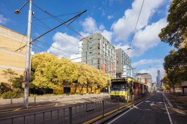 MELBOURNE, AUSTRALIA - MAYIS 05, 2024 - Melbourne, Victoria, Avustralya 'daki Melbourne Üniversitesi Parkville kampüsünde sonbahar boyunca Swanston Caddesi ve Elgin Caddesi' nin köşesi