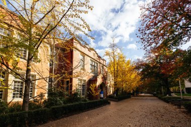 MELBOURNE, AUSTRALIA - MAYIS 05, 2024 - Melbourne, Victoria, Avustralya 'daki Melbourne Üniversitesi Parkville kampüsünde eski jeoloji binası ve mimari ayrıntılar