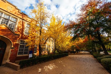 MELBOURNE, AUSTRALIA - MAYIS 05, 2024 - Melbourne, Victoria, Avustralya 'daki Melbourne Üniversitesi Parkville kampüsünde eski jeoloji binası ve mimari ayrıntılar