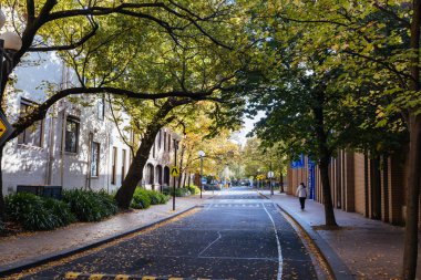 MELBOURNE, AUSTRALIA - MAYIS 05, 2024 - Melbourne, Victoria, Avustralya 'daki Melbourne Üniversitesi Parkville Kampüsü' nde sonbahar sırasında Tin Alley ve mimari ayrıntılar