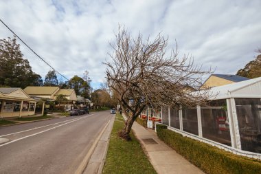 OLINDA, AUSTRALIA - 15 Ağustos 2024: Dandenong Sıradağları 'ndaki Olinda adlı antika turist kasabası, Avustralya' nın Victoria kentinde sakin bir kış öğleden sonrasında