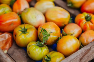 Trentham 'da taze organik domateslerle dolu bir sandık Victoria. Avusturalya