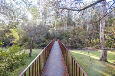 BLACKWOOD, AUSTRALYA - 28 Temmuz 2024: Blackwood Mineral Springs Piknik Alanı çevresindeki manzara