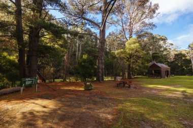 BLACKWOOD, AUSTRALYA - 28 Temmuz 2024: Blackwood Mineral Springs Piknik Alanı çevresindeki manzara
