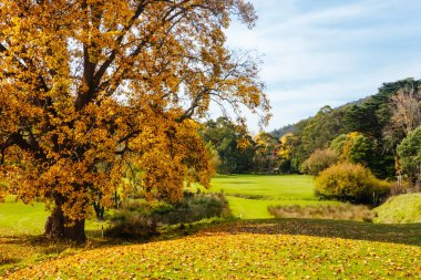 Warburton Golf Kulübü Victoria, Avustralya 'da serin bir sonbahar gününde