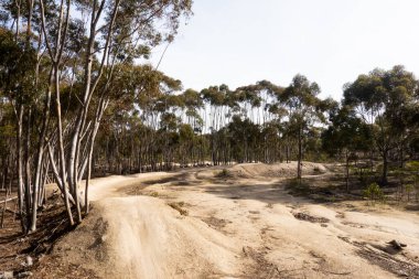 The popular You Yangs mountain bike park and Kurrajong area on a hot autumn day in Little River, Victoria, Australia clipart