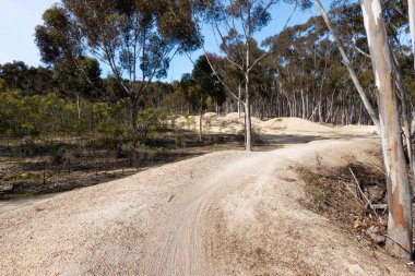 Sıcak bir sonbahar gününde Little River, Victoria, Avustralya 'da You Yangs dağ bisikleti parkı ve Kurrajong bölgesi