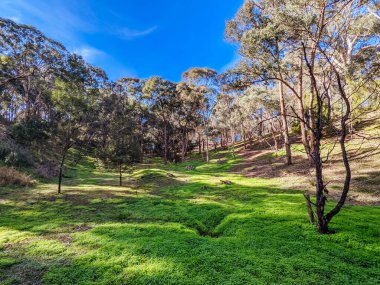 Victoria, Avustralya 'da Kuzey Melbourne' daki Bolluk Gorge Eyalet Parkı 'nda dağ bisikleti ve yürüyüş yolları.