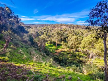 Victoria, Avustralya 'da Kuzey Melbourne' daki Bolluk Gorge Eyalet Parkı 'nda dağ bisikleti ve yürüyüş yolları.