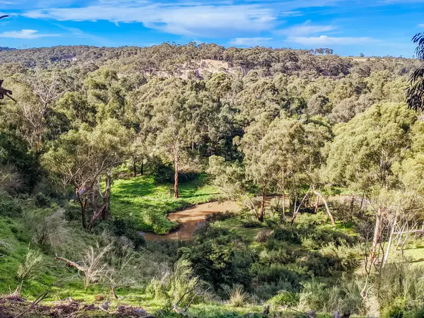 stock image Mountain bike and walking trails in Plenty Gorge State Park in northern Melbourne in Victoria, Australia