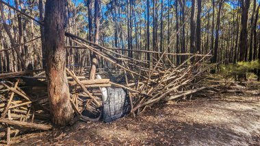 Macedon, Victoria, Avustralya yakınlarındaki Wombat Eyalet Ormanı 'nda bir çalı kampı kuruldu.