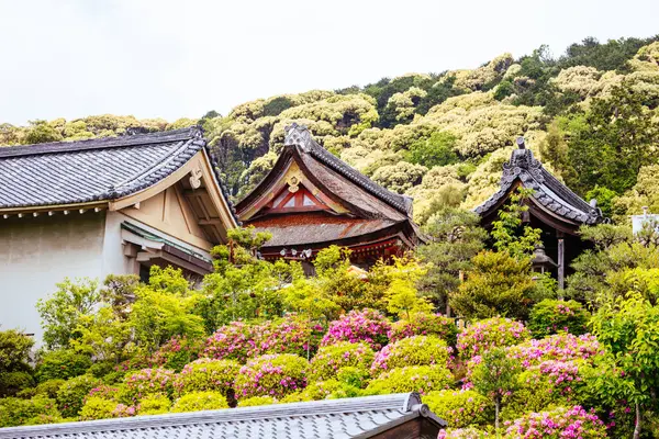 Kyoto, Japonya'da güneşli bir bahar gününde ikonik Kiyomizu-dera tapınağı ve dağ manzarası