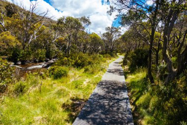 Landscape views across the slopes of Thredo in the Snowy Mountains, New South Wales, Australia clipart