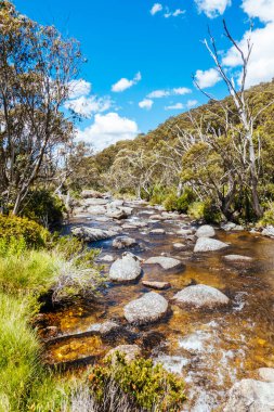 Thredo 'daki Thredbo Riover ve Thredbo Golf Sahası' nın etrafındaki Karlı Dağlar, Yeni Güney Galler, Avustralya
