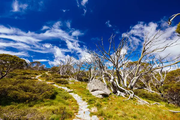 Stock image Landscape views along the Porcupine Walking Track on a summers day in Kosciuszko National Park, Snowy Mountains, New South Wales, Australia