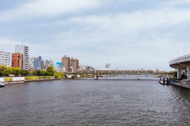 Azuma Köprüsü 'nden Sumida Nehri. Japonya' nın Sumida şehrinin Azumabashi ilçesinde açık bir bahar günü.