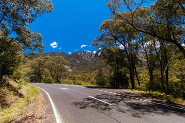 Victoria Alpleri, Avustralya 'da bir yaz öğleden sonrasında Buffalo Dağı' nın yukarısındaki yolda.