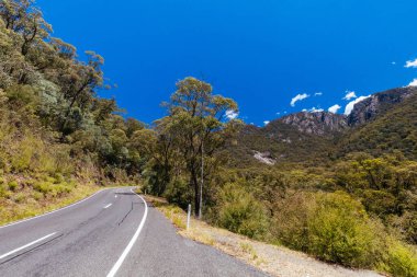 Victoria Alpleri, Avustralya 'da bir yaz öğleden sonrasında Buffalo Dağı' nın yukarısındaki yolda.