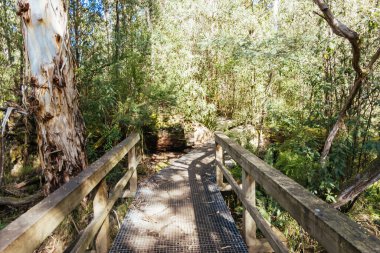 Evelyn Aqueduct Dağı Doğrusal Rezerv Dağı ve Melbourne, Victoria, Avustralya 'da güneşli bir bahar gününde çevreleyen manzara