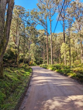Melbourne, Victoria, Avustralya 'da bahar güneşli bir günde Basin-Olinda Bulvarı ve çevre manzara