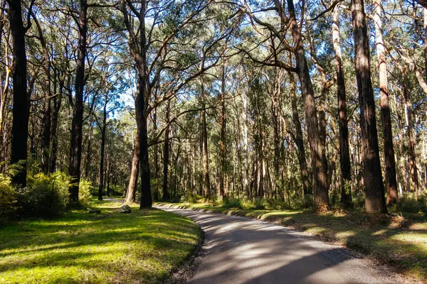 stock image Silvan Rd and surrounding landscape on a spring sunny day in Melbourne, Victoria, Australia