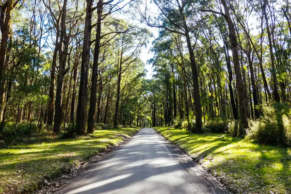 stock image Silvan Rd and surrounding landscape on a spring sunny day in Melbourne, Victoria, Australia