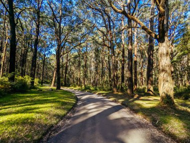 Silvan Yolu ve çevresindeki manzara Melbourne, Victoria, Avustralya 'da güneşli bir bahar günü