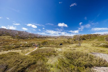 Kosciuszko Ulusal Parkı, Karlı Dağlar, Yeni Güney Galler, Avustralya 'da bir yaz gününde Kirpi Yürüyüş Pisti boyunca manzara