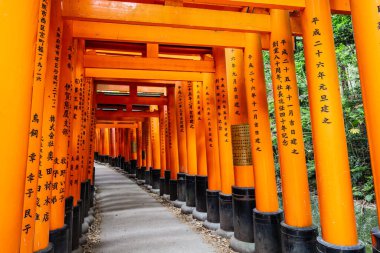 Kyoto, Japonya - 15 Mayıs 2019: Kyoto, Japonya 'daki Fushimi Inari Tapınağı' nda Kırmızı Tori Kapısı. Japonya 'daki en büyük turistik yerlerden biri.