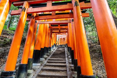 Kyoto, Japonya - 15 Mayıs 2019: Kyoto, Japonya 'daki Fushimi Inari Tapınağı' nda Kırmızı Tori Kapısı. Japonya 'daki en büyük turistik yerlerden biri.