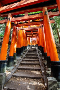 Kyoto, Japonya - 15 Mayıs 2019: Kyoto, Japonya 'daki Fushimi Inari Tapınağı' nda Kırmızı Tori Kapısı. Japonya 'daki en büyük turistik yerlerden biri.