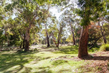 Hanging Rock 'ın popüler turistik cazibesi. Macedon dağlarındaki bir tepenin tepesindeki volkanik bir kaya grubu, Victoria, Avustralya
