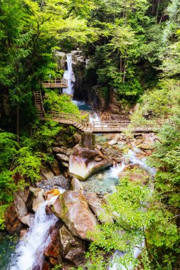 The magnificent Ryujin Falls and iconic red bridge at the start of autumn in Nakatsugawa City, near Sakashita in Japan clipart