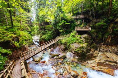 The magnificent Ryujin Falls and iconic red bridge at the start of autumn in Nakatsugawa City, near Sakashita in Japan clipart