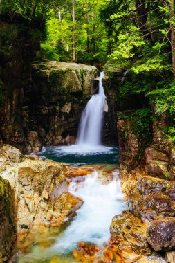 Muhteşem Ryujin Şelalesi ve sonbaharın başında Japonya 'daki Sakashita yakınlarındaki Nakatsugawa şehrinde ikonik kırmızı köprü.