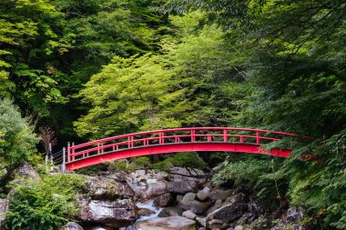 Muhteşem Ryujin Şelalesi ve sonbaharın başında Japonya 'daki Sakashita yakınlarındaki Nakatsugawa şehrinde ikonik kırmızı köprü.