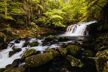 The magnificent Tateshina Otaki Falls on the famous Venus Line road, famous as a scenic driving route in Japan clipart