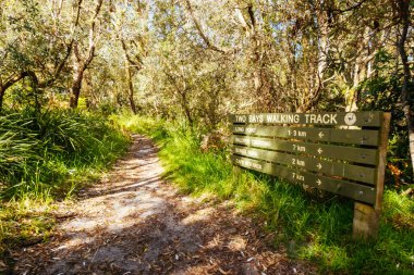 Victoria, Avustralya 'daki Mornington Yarımadası' ndaki Cape Schanck Deniz Feneri 'nin yanındaki İki Kol Yürüyüşü Pisti' nin bir parçası olarak