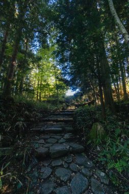 Japonya 'nın Gifu ilinde Magome ve Tsumago arasında Nakasendo Yolu' nun bir parçası olarak ünlü Magome-Tsumago Patikası 'nda yürüyüş yolu manzarası.