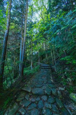 Japonya 'nın Gifu ilinde Magome ve Tsumago arasında Nakasendo Yolu' nun bir parçası olarak ünlü Magome-Tsumago Patikası 'nda yürüyüş yolu manzarası.