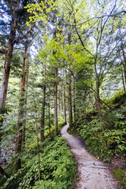 Japonya 'nın Gifu ilinde Magome ve Tsumago arasında Nakasendo Yolu' nun bir parçası olarak ünlü Magome-Tsumago Patikası 'nda yürüyüş yolu manzarası.