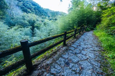 Japonya 'nın Gifu ilinde Magome ve Tsumago arasında Nakasendo Yolu' nun bir parçası olarak ünlü Magome-Tsumago Patikası 'nda yürüyüş yolu manzarası.
