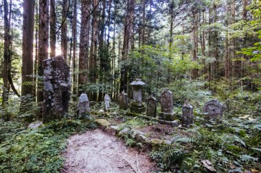 Japonya 'nın Gifu ilinde Magome ve Tsumago arasında Nakasendo Yolu' nun bir parçası olarak ünlü Magome-Tsumago Patikası 'nda yürüyüş yolu manzarası.