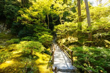 Japonya 'nın Kyoto kentindeki Gümüş Pavilyon Ginkakuji Tapınağı' ndaki çarpıcı mimari ve bahçeler.