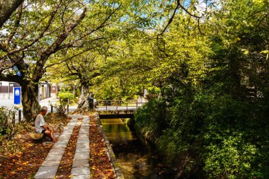 KYOTO, JAPONYA - 23 Eylül 2024: Ünlü Filozoflar Yürüyüşü boyunca sonbaharda manzara. Yol, Japonya 'nın Kyoto eyaletinin Higashiyama ilçesinde bulunan ünlü bir yaya yoludur.